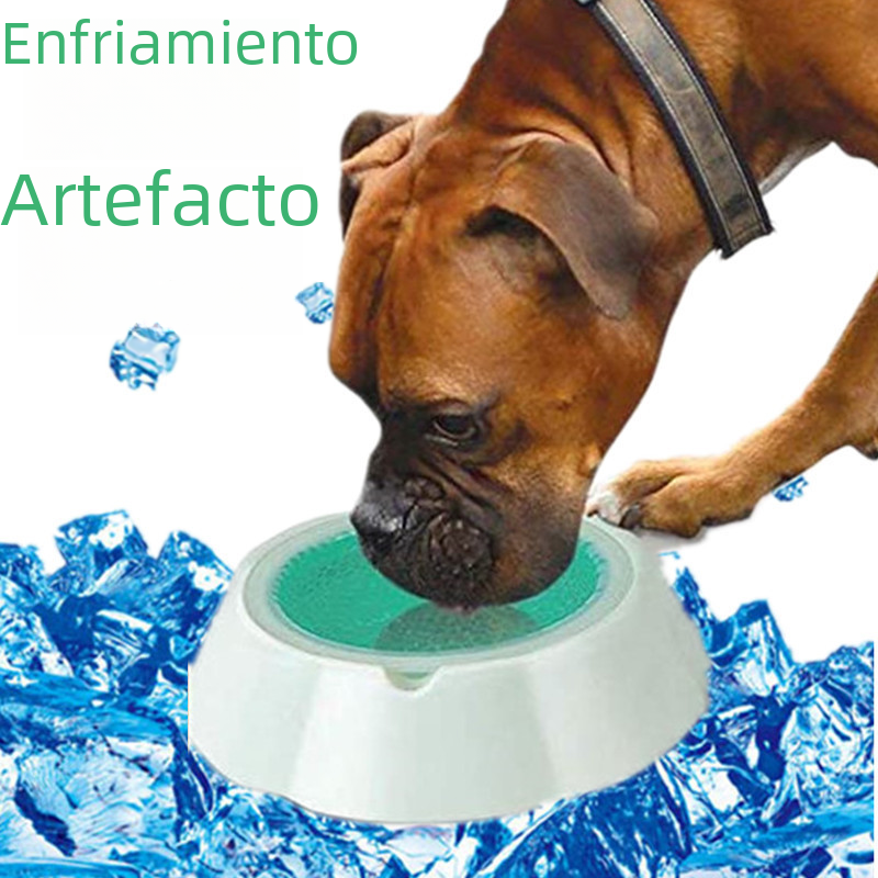 Cuenco Refrescante de Verano para Perros y Gatos
