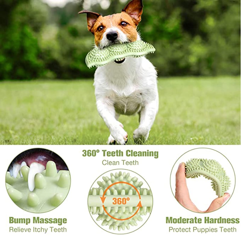 Bola de Juguete para Perro Resistente a Mordidas para Masticación Interactiva