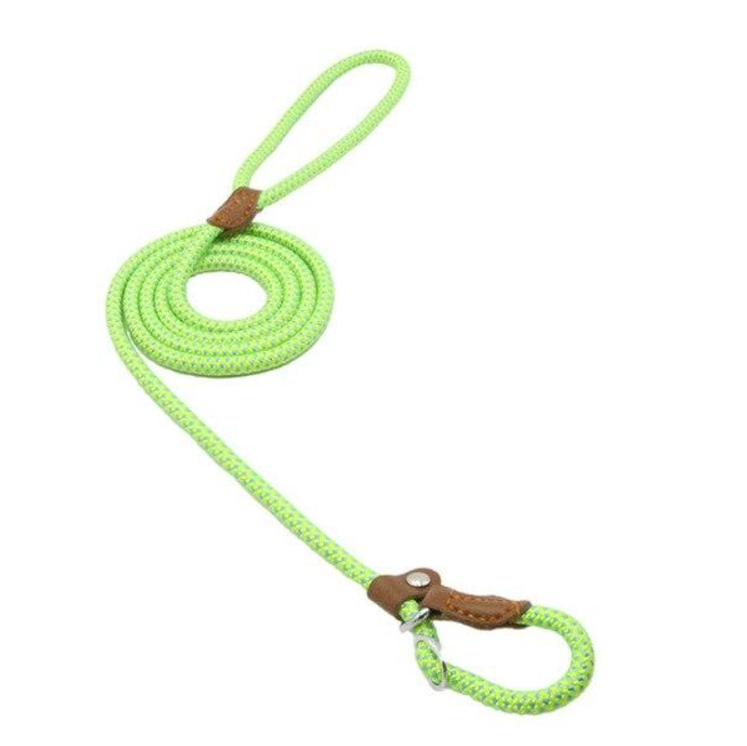 Nylon Dog Harness and Leash Set