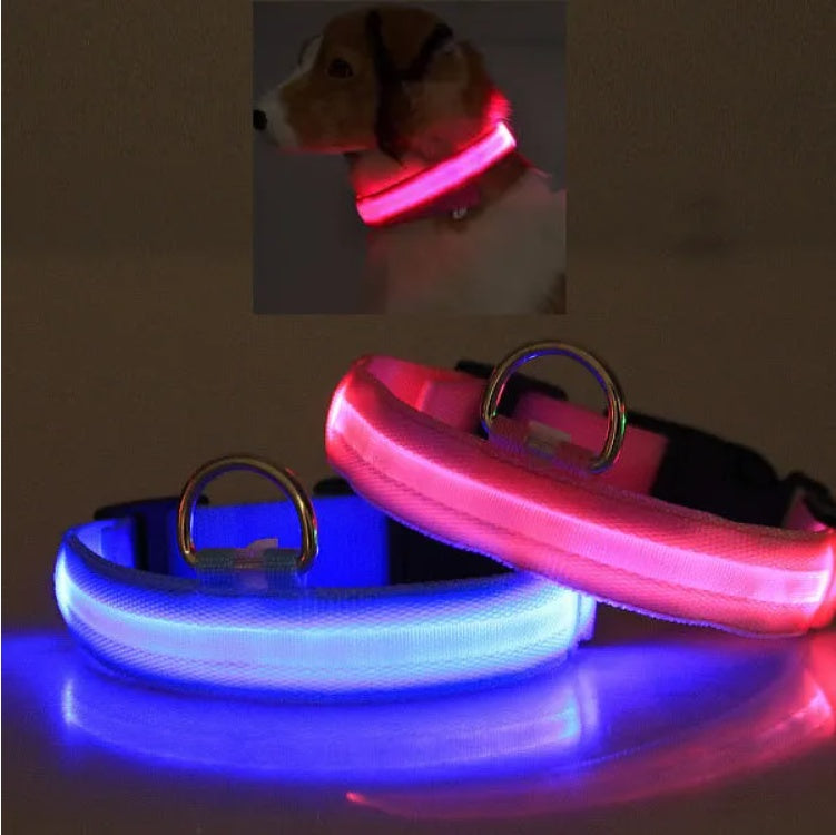 Halo Style LED Pet Safety Collar