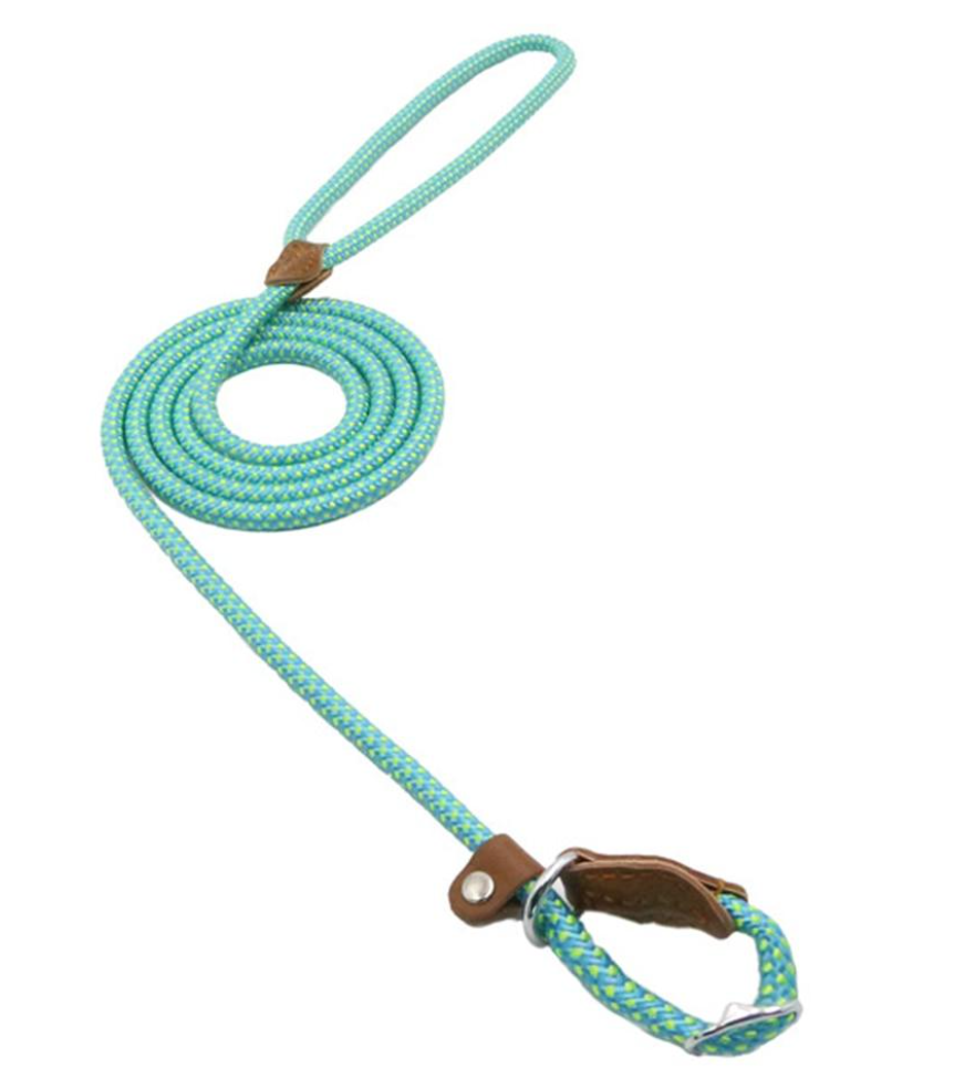 Nylon Dog Harness and Leash Set