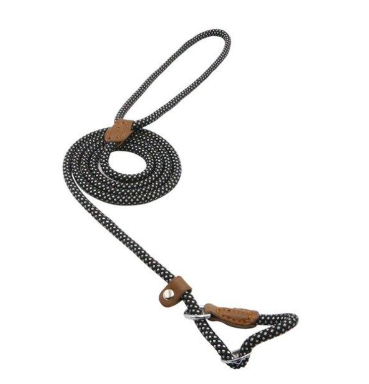 Nylon Dog Harness and Leash Set
