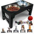 Elevated Dog Feeder with 2 Stainless Steel Bowls