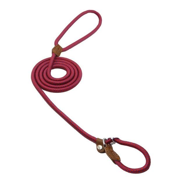 Nylon Dog Harness and Leash Set