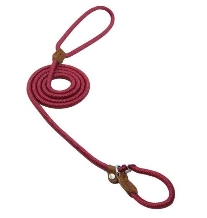 Nylon Dog Harness and Leash Set