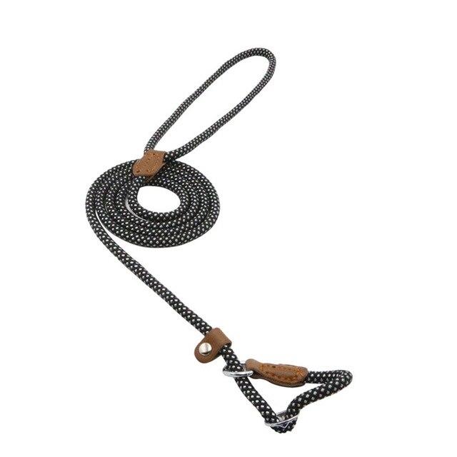 Nylon Dog Harness and Leash Set