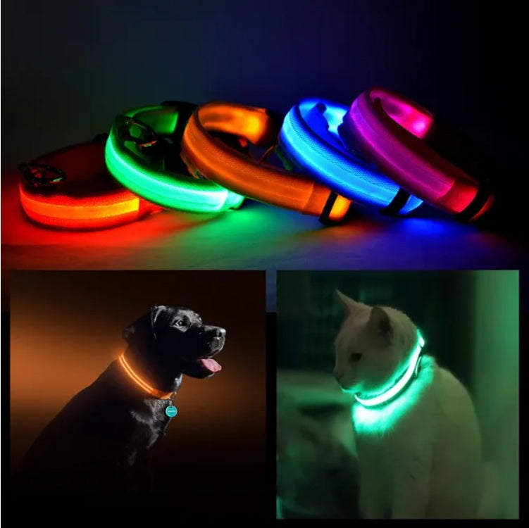 Halo Style LED Pet Safety Collar