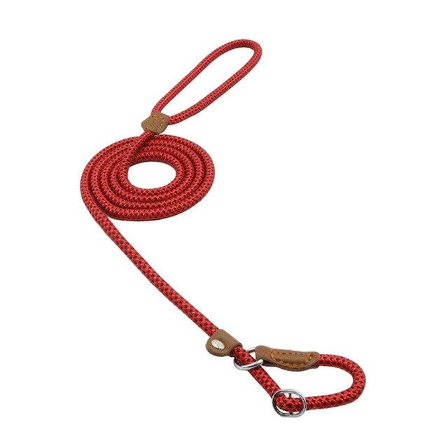 Nylon Dog Harness and Leash Set