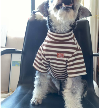 Ropa Ligera de Verano para Perros Pequeños