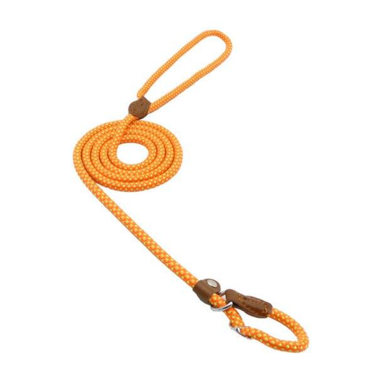 Nylon Dog Harness and Leash Set