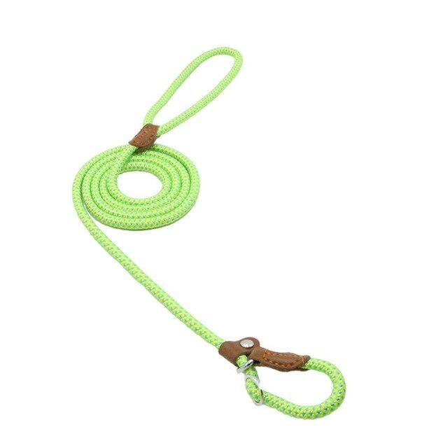 Nylon Dog Harness and Leash Set