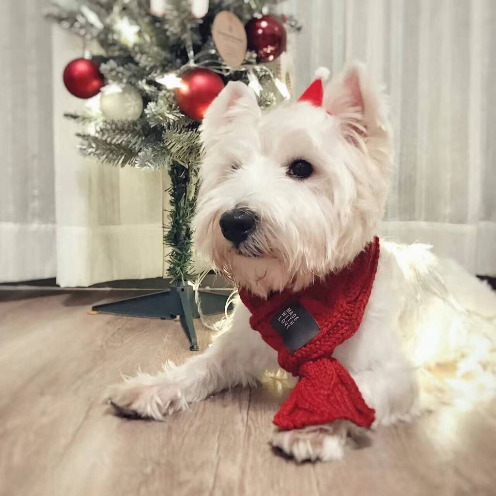 Bufanda Cálida Gruesa para Perros - Bufanda Linda para Mascotas