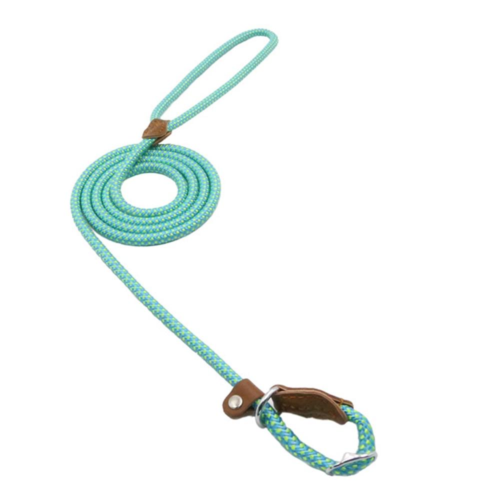 Nylon Dog Harness and Leash Set