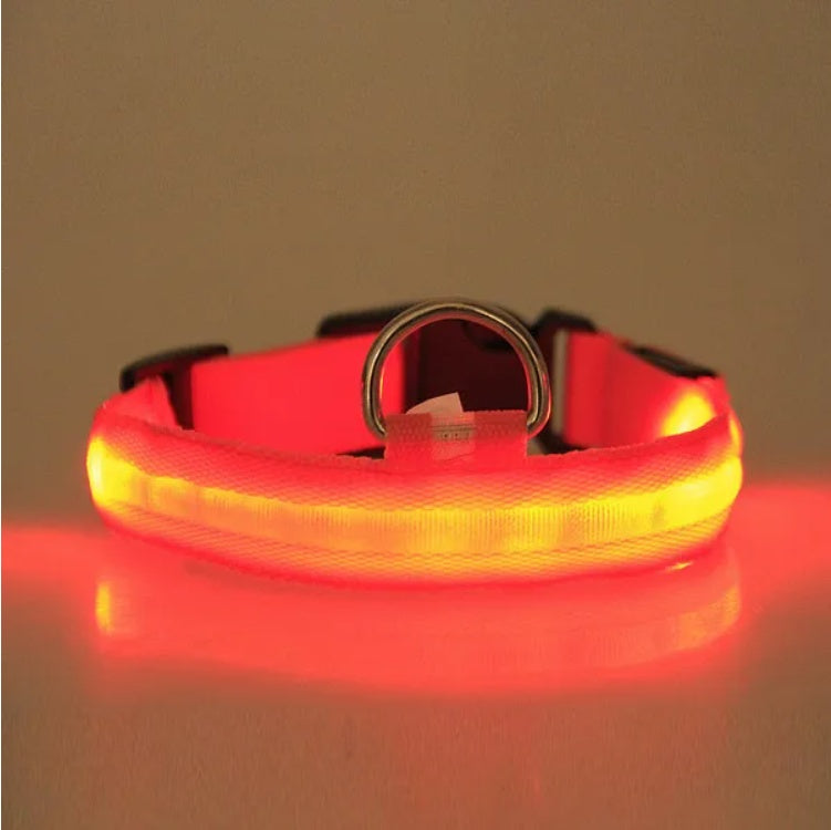 Halo Style LED Pet Safety Collar