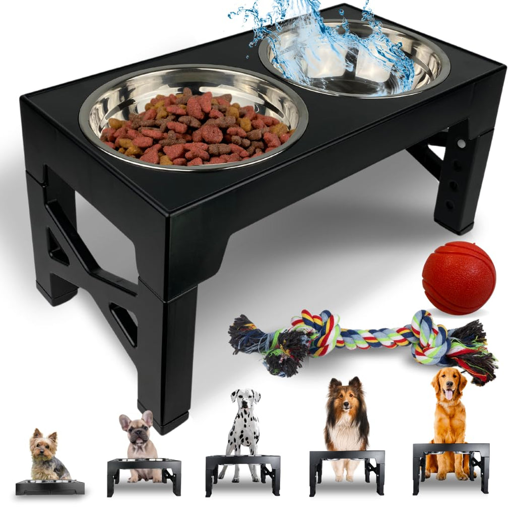 Elevated Dog Feeder with 2 Stainless Steel Bowls